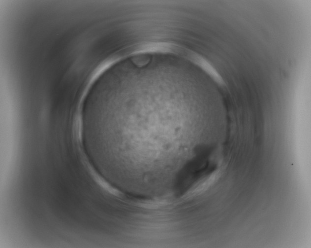 X0000113861079200910011016