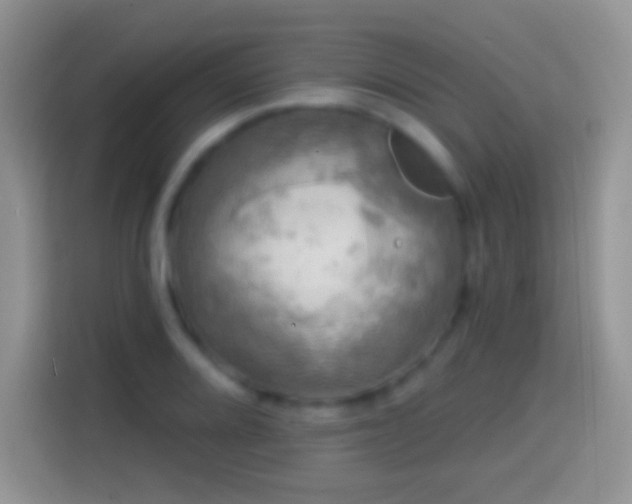 X0000113861080200910011016