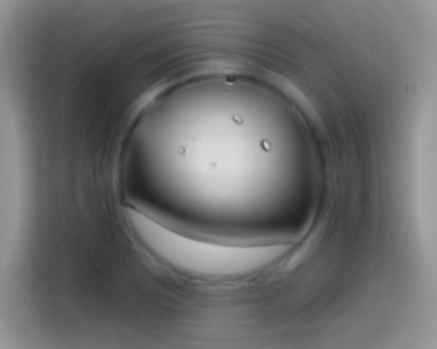 X0000113861081200910011016