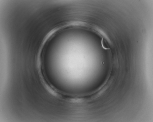 X0000113861082200910011016