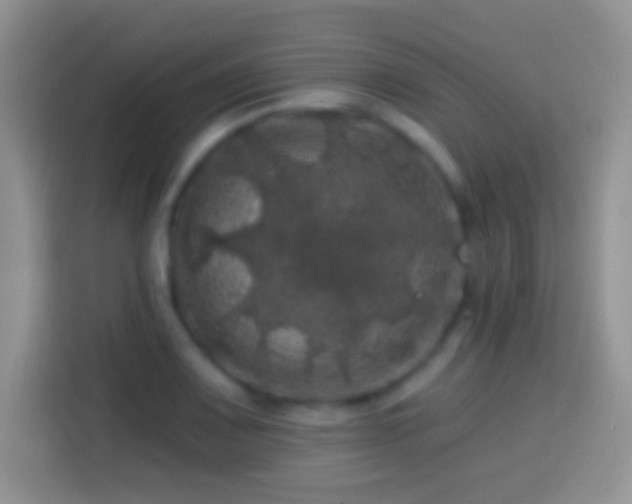 X0000113861083200910011016