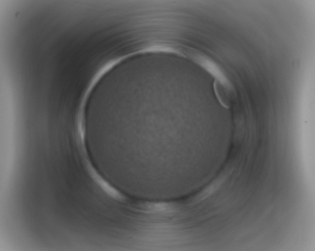 X0000113861084200910011016