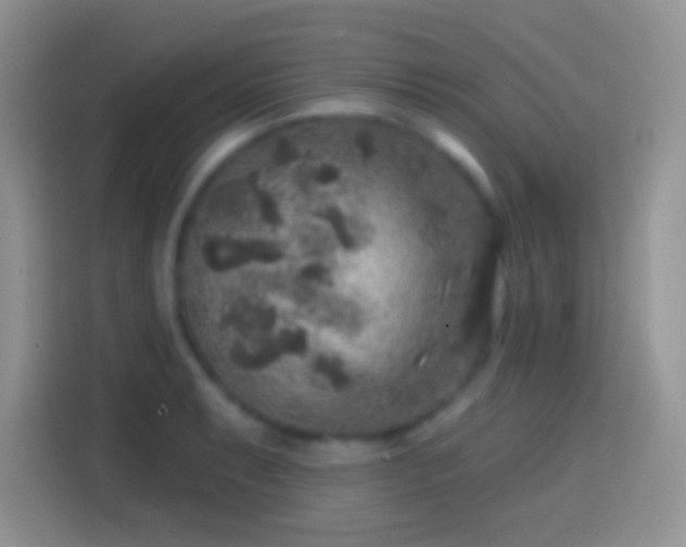 X0000113861087200910011016