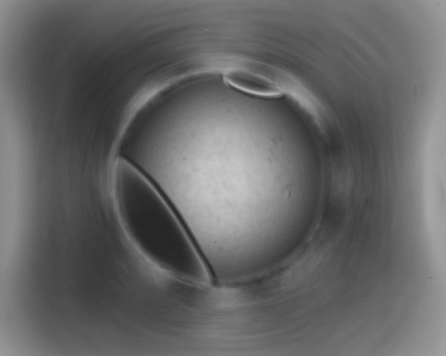 X0000113861088200910011016