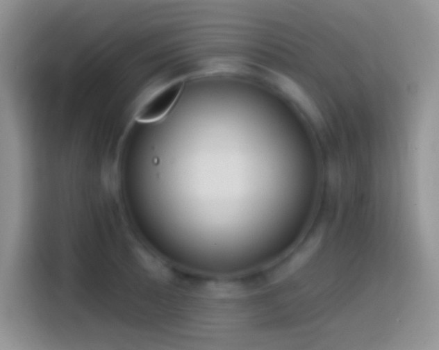 X0000113861089200910011016