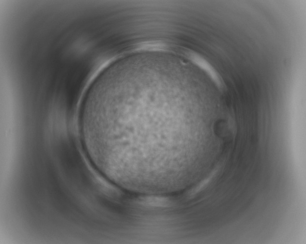 X0000113861090200910011016