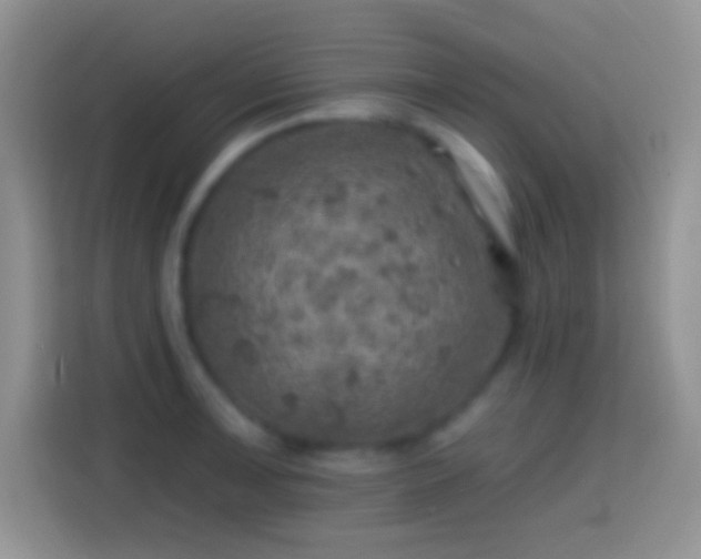 X0000113861091200910011016