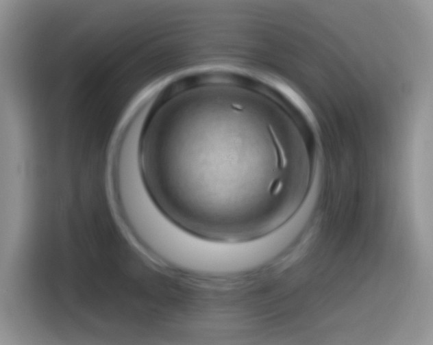 X0000113861093200910011016