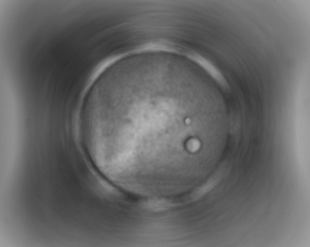 X0000113861094200910011016