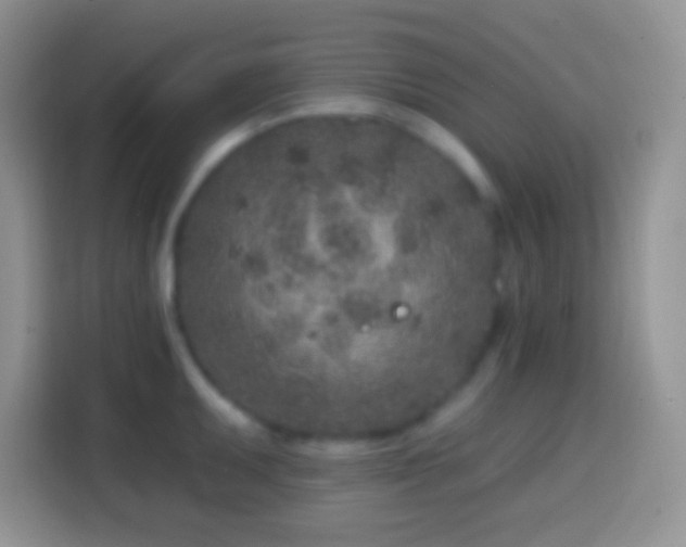 X0000113861095200910011016