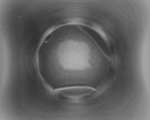X0000113861096200910011016