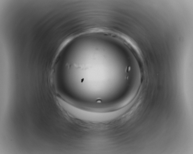 X0000113861097200910011016