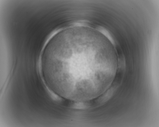 X0000113861098200910011016