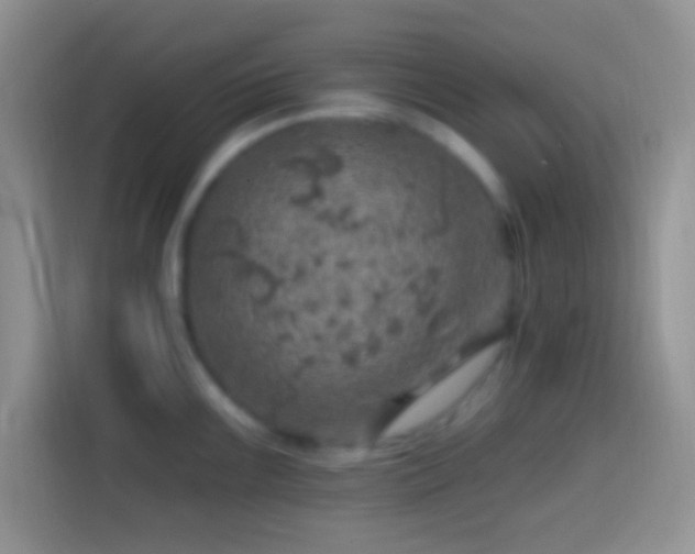 X0000113861099200910011016