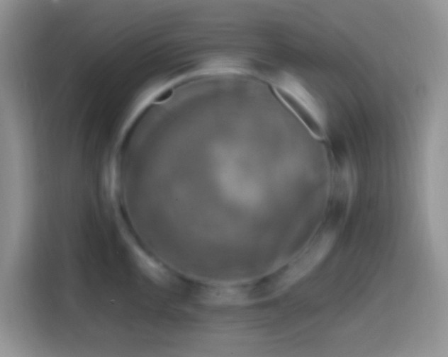 X0000113861101200910011016