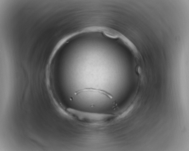 X0000113861102200910011016