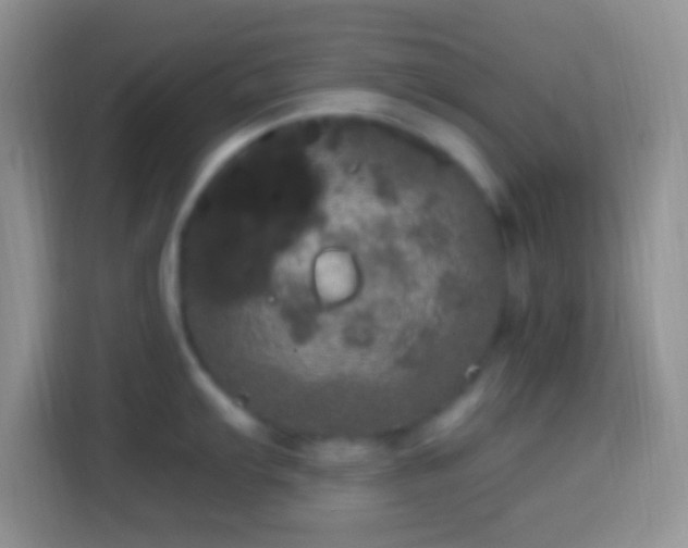 X0000113861103200910011016