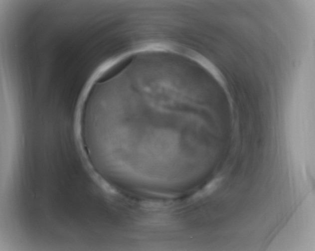 X0000113861104200910011016