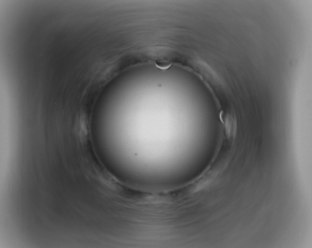 X0000113861107200910011016