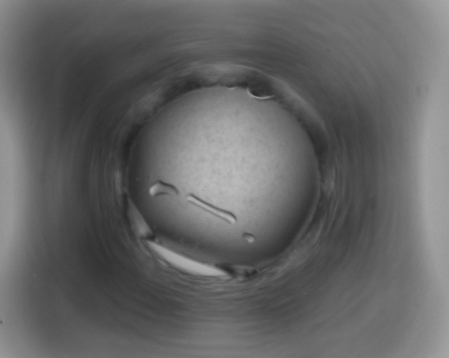 X0000113861108200910011016