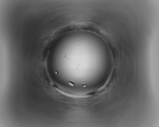 X0000113861109200910011016