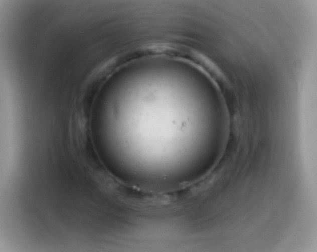 X0000113861111200910011016