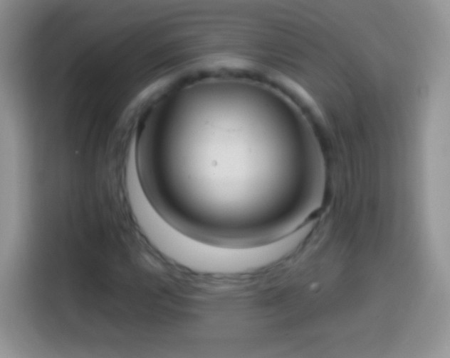 X0000113861112200910011016