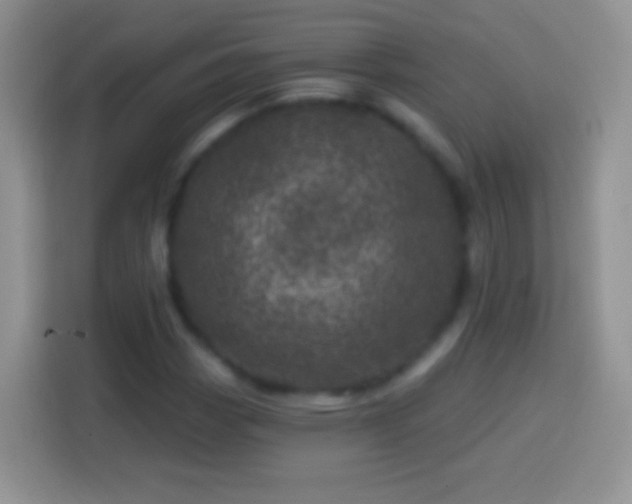 X0000113861113200910011016