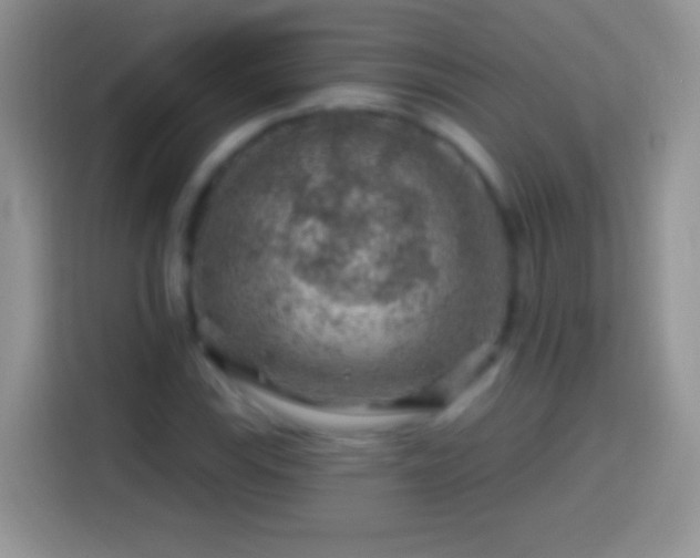 X0000113861115200910011016