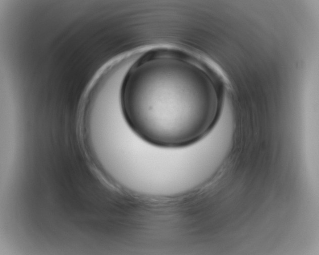 X0000113861116200910011016