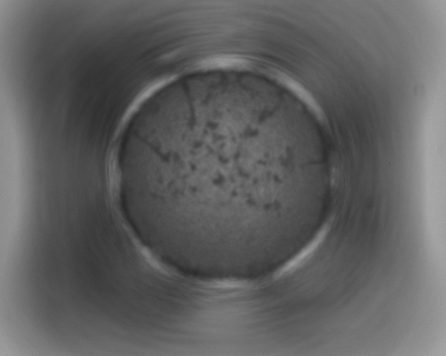 X0000113861117200910011016