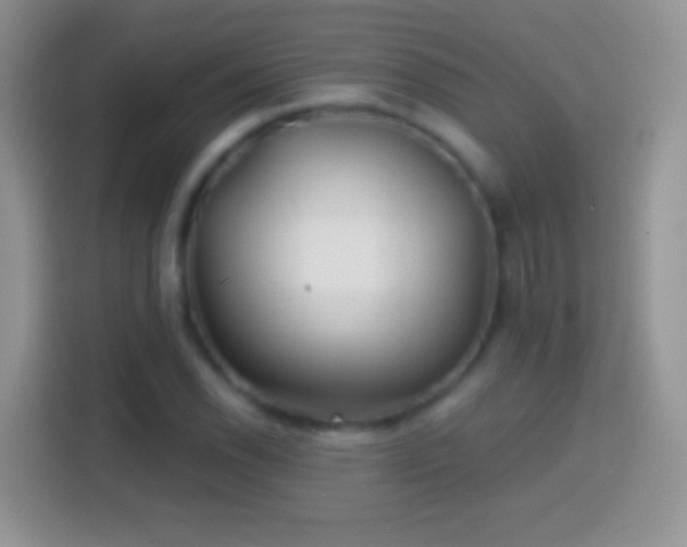 X0000113861118200910011016