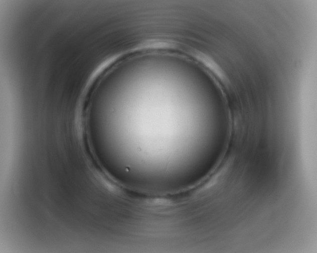 X0000113861119200910011016