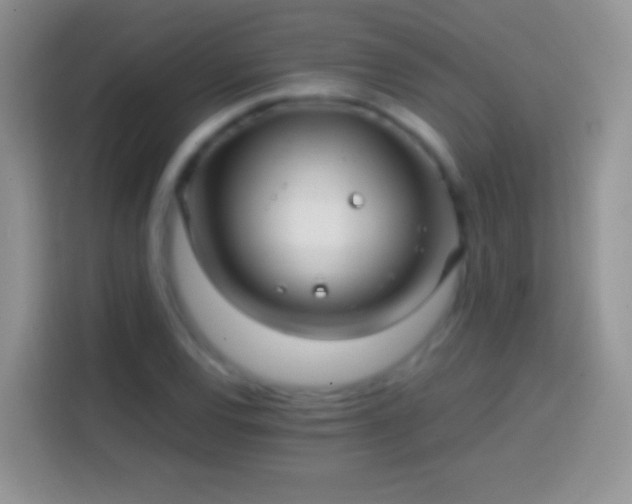 X0000113861120200910011016