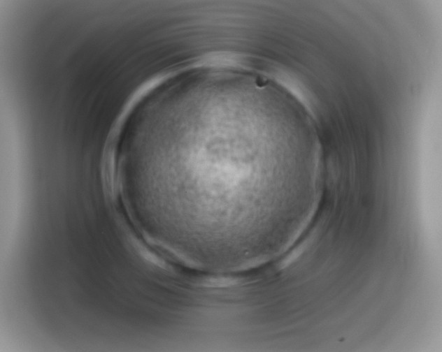 X0000113861123200910011016