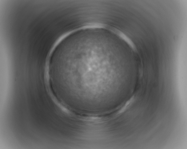 X0000113861124200910011016