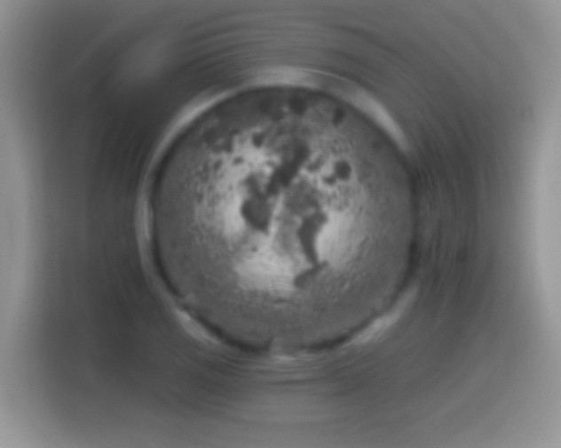 X0000113861125200910011016