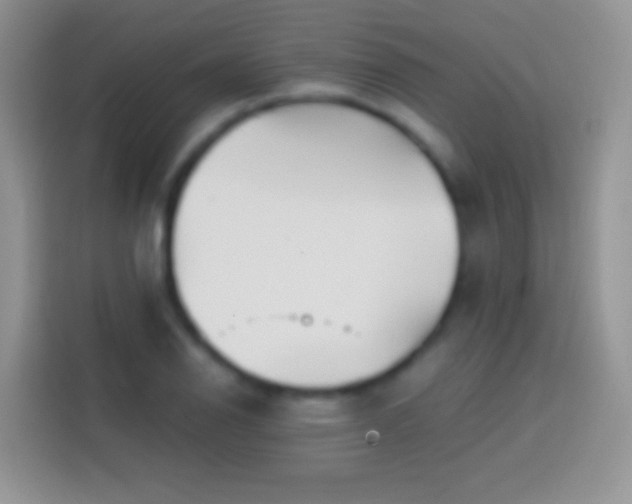 X0000113861126200910011016