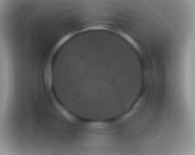 X0000113861127200910011016