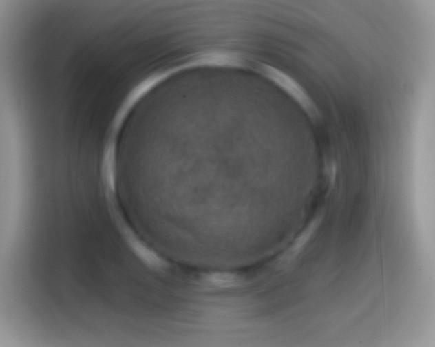 X0000113861128200910011016