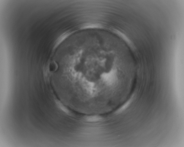 X0000113861129200910011016
