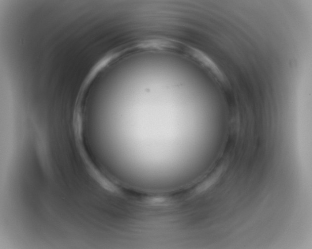 X0000113861130200910011016