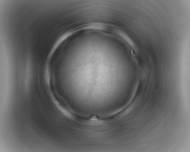 X0000113861131200910011016