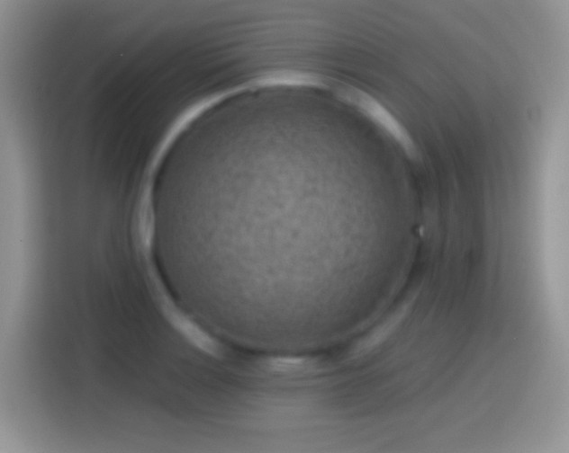 X0000113861132200910011016