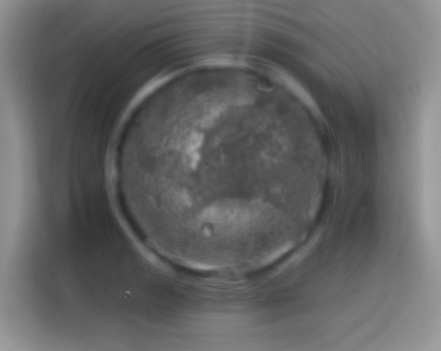 X0000113861133200910011016