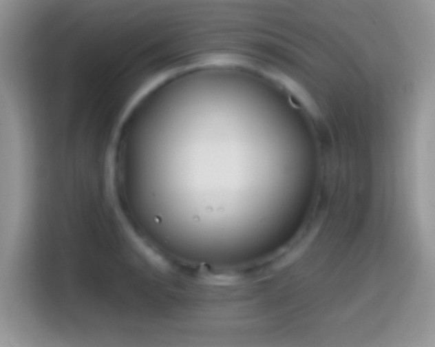 X0000113861134200910011016