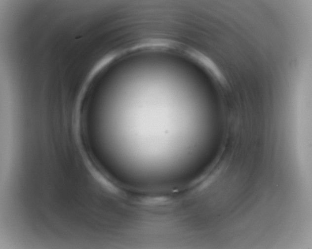 X0000113861135200910011016