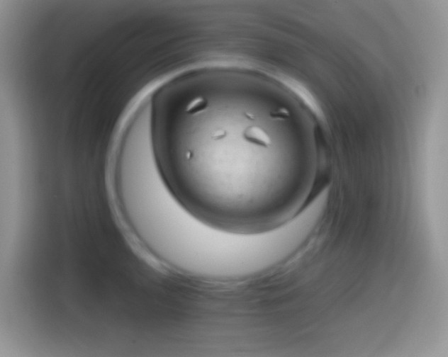 X0000113861136200910011016