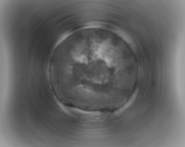 X0000113861137200910011016