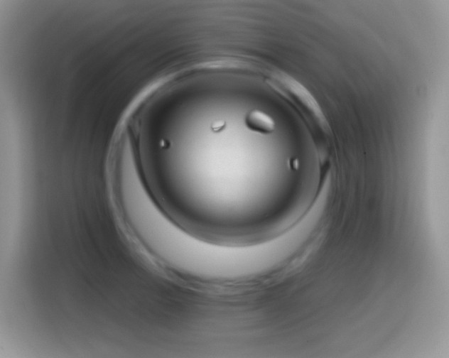 X0000113861138200910011016